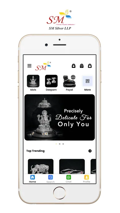 صور SM Silver