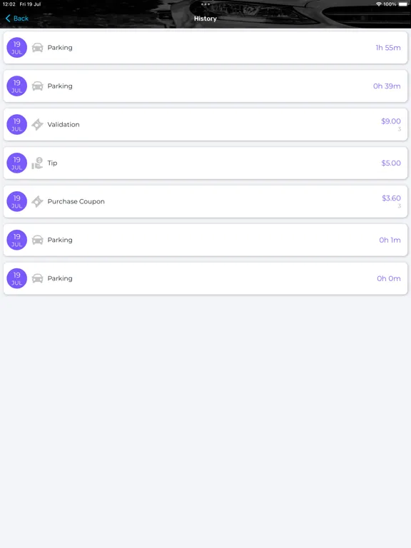 Ảnh chụp màn hình của VIP Parker iPad 