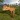 Tyrannosaurus Rex simulator