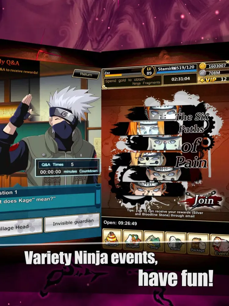 Ảnh chụp màn hình của Ninja Hayate iPad 