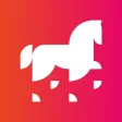 Leonardo Horse Project