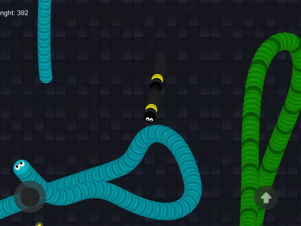 تصاویر SnakeSnake.io iPad 