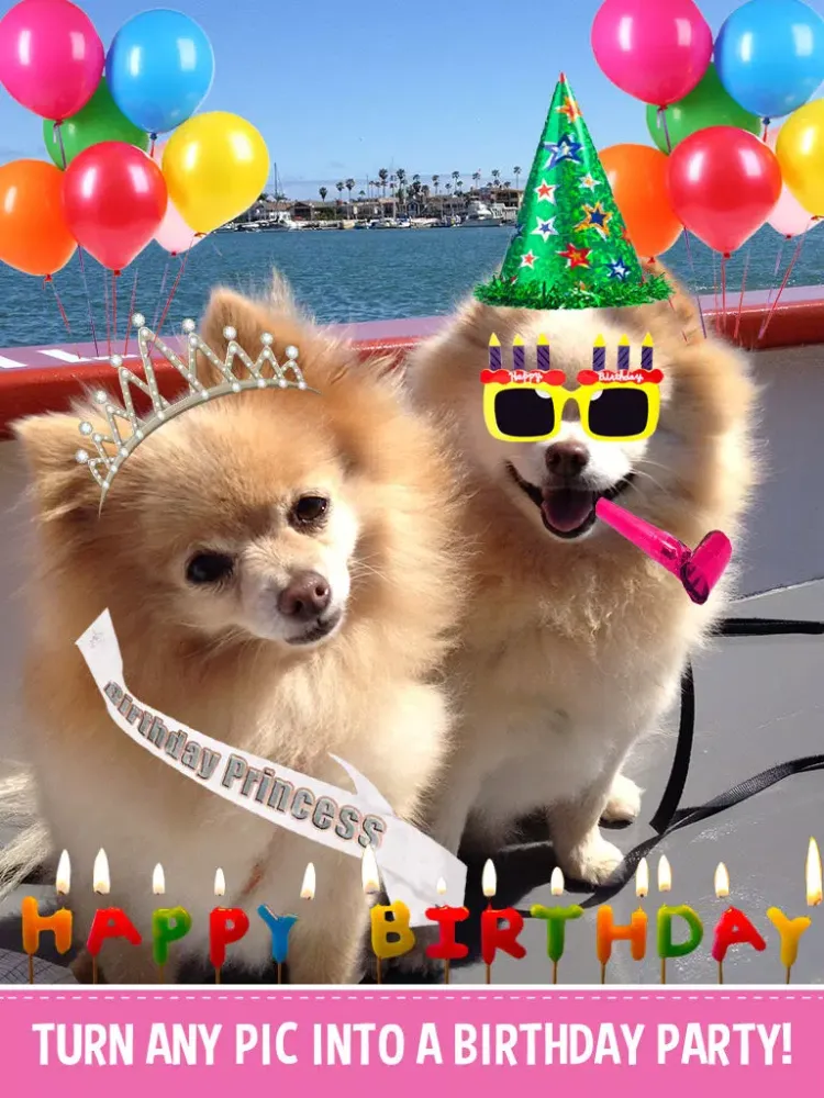 Birthday Booth iPad  Screenshots