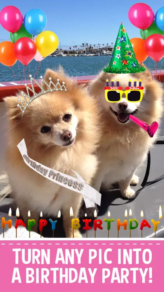 Birthday Booth Screenshots