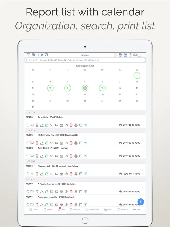 iReport Business iPad  스크린샷