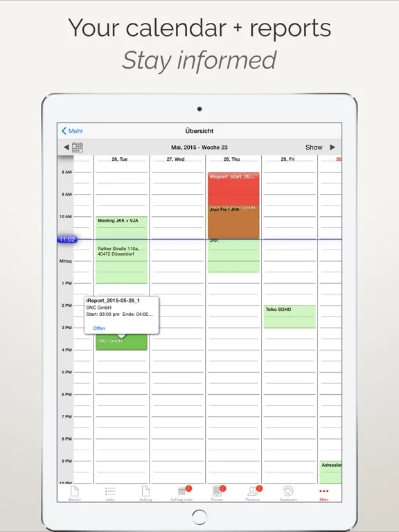 iReport Business iPad  스크린샷