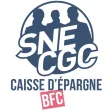 SNE-CGC CEBFC SNE-CGC CEBFC