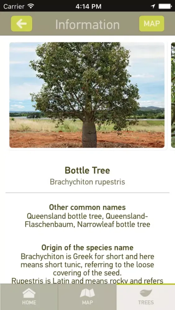 تصاویر Trees of Arboretum