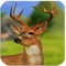 Sniper Deer Extreme 3D