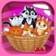 Bubble Kitty Rescue Bubble Kitty Rescue