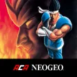 WORLD HEROES PERFECT WORLD HEROES PERFECT
