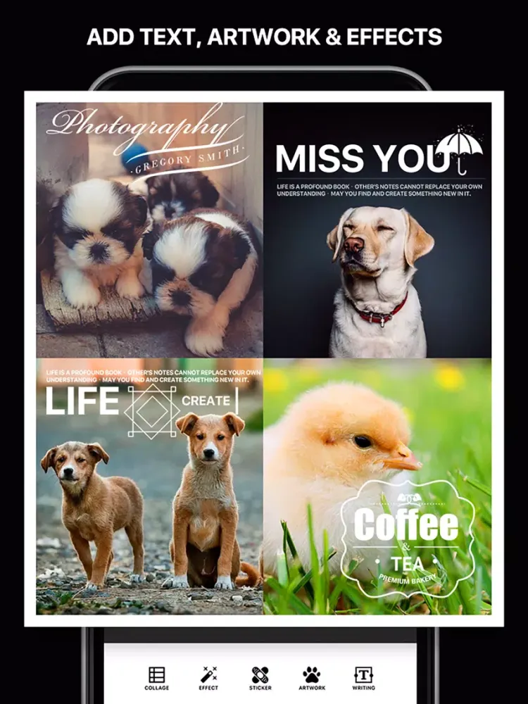 تصاویر Amazing Layout Maker for Instagram iPad 
