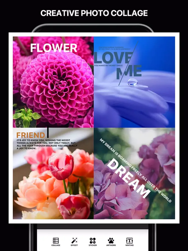 تصاویر Amazing Layout Maker for Instagram iPad 