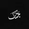 Jang Newspaper