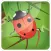 3D Bug Farm Flick N Fling Game for Free