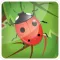 3D Bug Farm Flick N Fling Game for Free