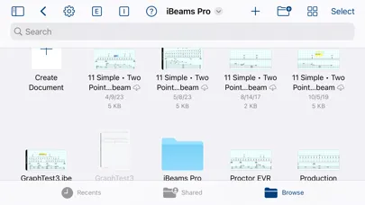 iBeams Pro应用截图