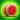 Merge Fruits - Watermelon