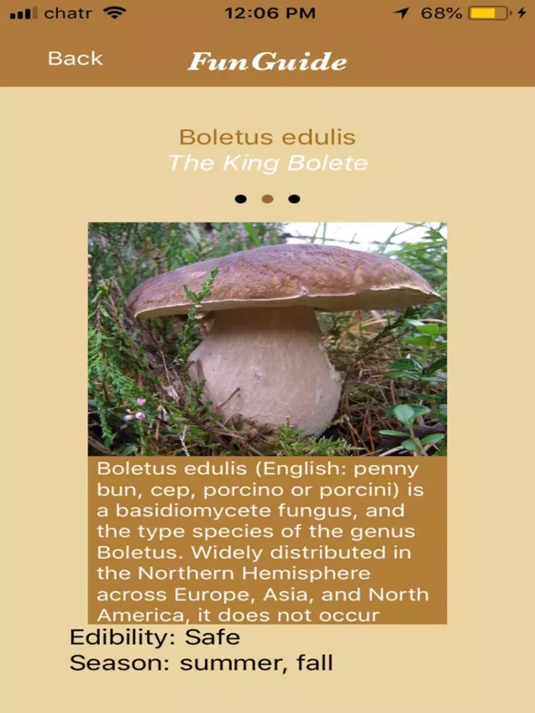 Screenshot di FunGuide: Mushroom Identifier iPad 