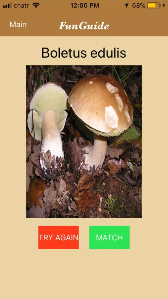 Screenshot di FunGuide: Mushroom Identifier