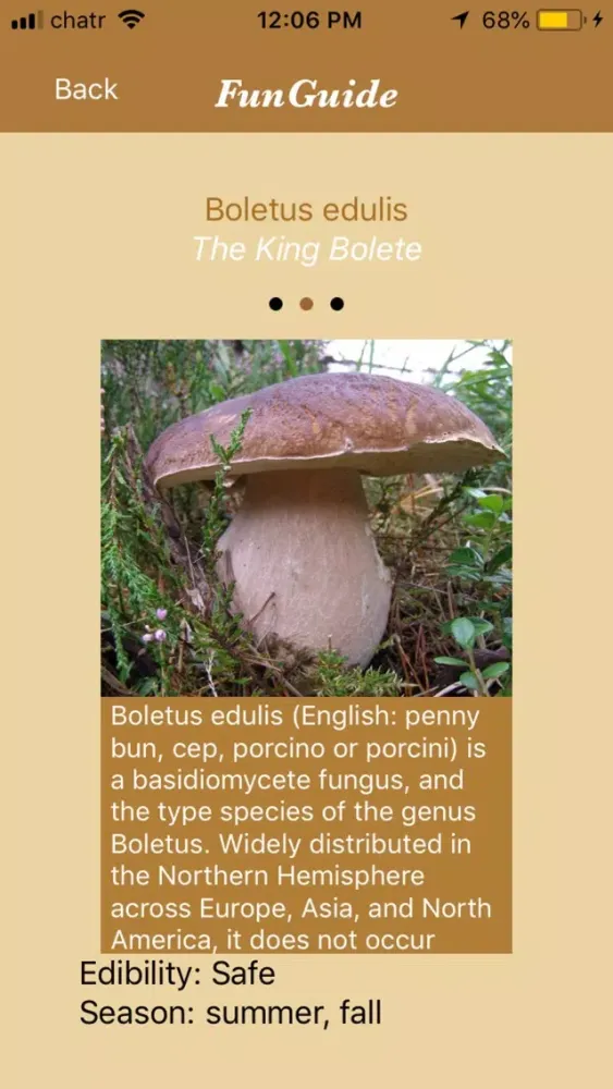 Screenshot di FunGuide: Mushroom Identifier