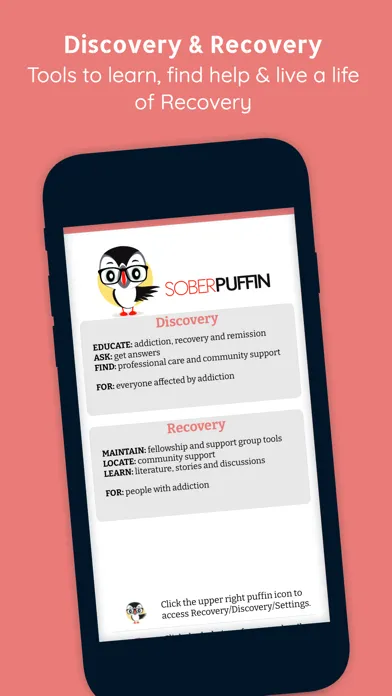صور Sober Puffin