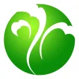 隆阳TV 隆阳TV