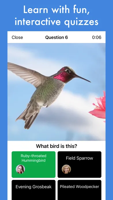Tangkapan layar Smart Bird ID