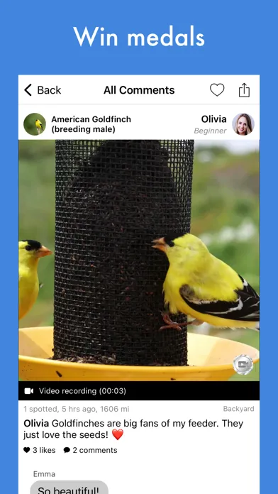 Tangkapan layar Smart Bird ID