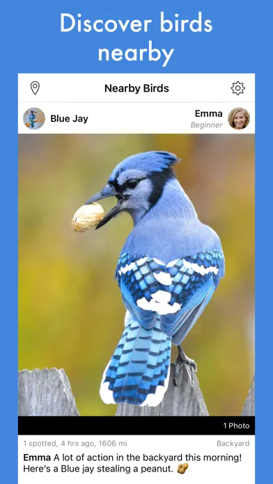 Tangkapan layar Smart Bird ID