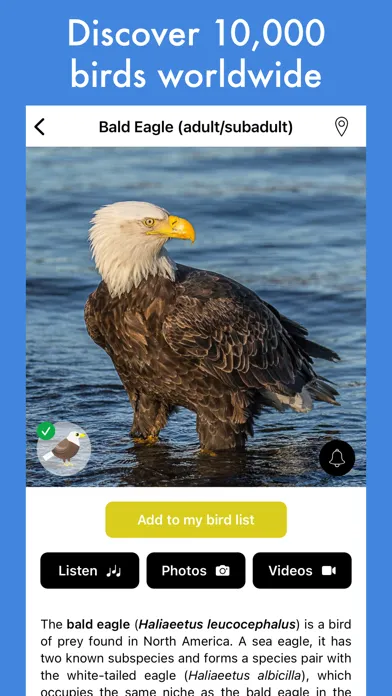 Tangkapan layar Smart Bird ID