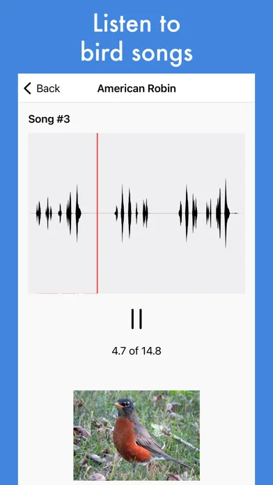 Tangkapan layar Smart Bird ID