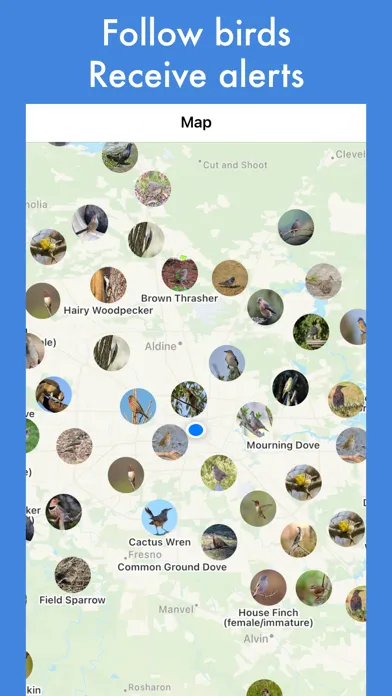 Tangkapan layar Smart Bird ID