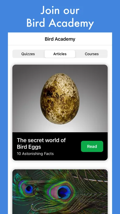 Tangkapan layar Smart Bird ID