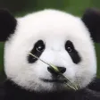 碰碰-找对象&谈恋爱