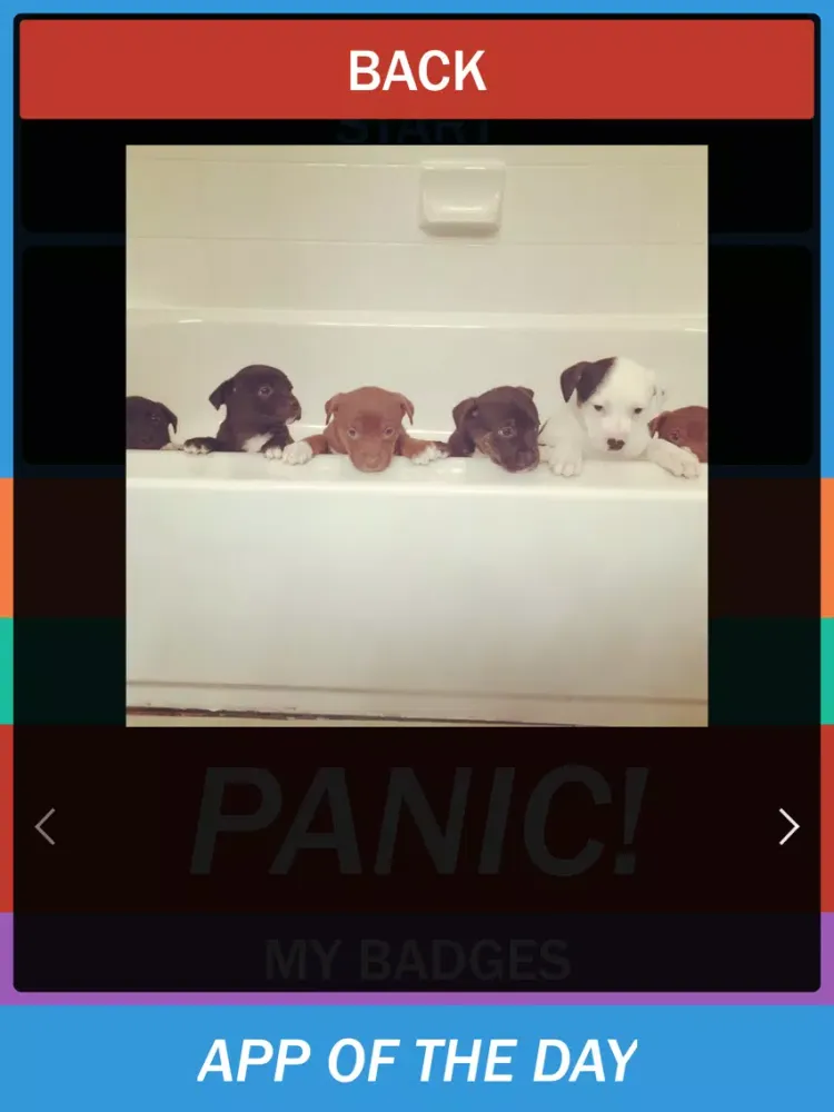 Social Media Addiction Calendar – Join the no Social Media movement, and quit Social Media while you can! iPad Screenshots