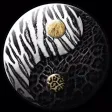 Black Jaguar White Tiger