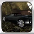 Real Sport Black Car Parking