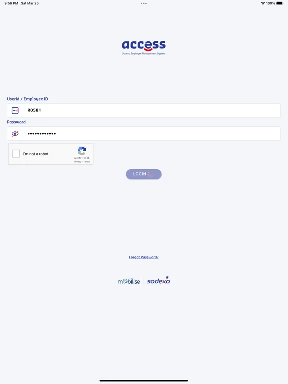 Access 3.0 iPad  Ekran Görüntüleri