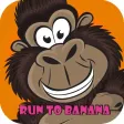 monkey speed to fast eat banana in jungle