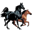 Horse breeds