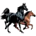 Horse breeds