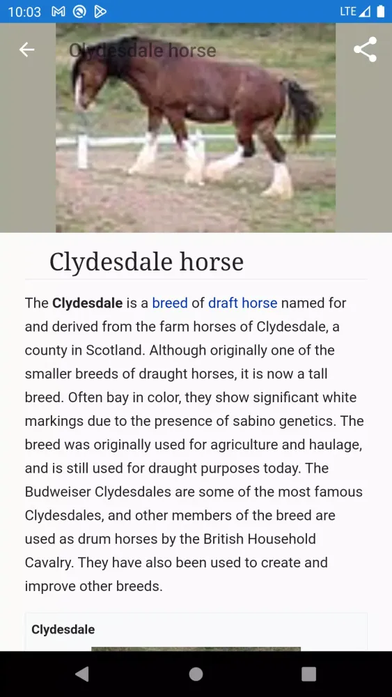 Horse breeds Screenshots