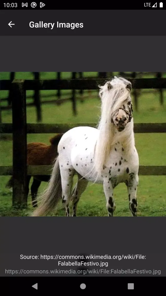 Horse breeds Screenshots