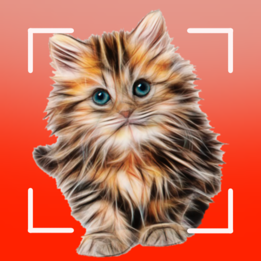Cat breeds Cat breeds