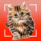 Cat breeds