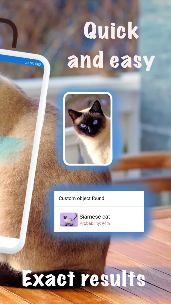 تصاویر Cat breeds