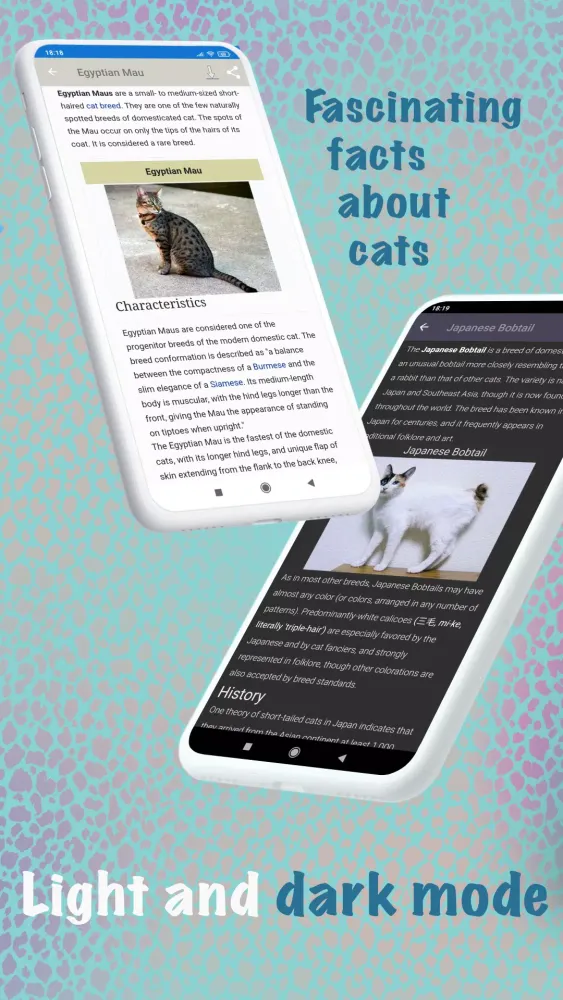 تصاویر Cat breeds