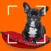 Dog breeds