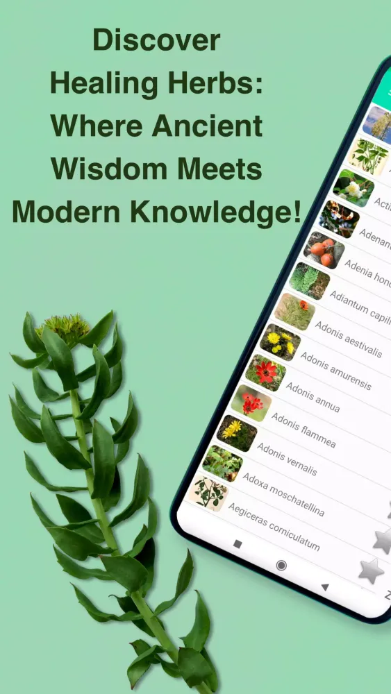 Medicinal Plants & Herbs Guide Screenshots